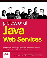 Professional Java Web Services